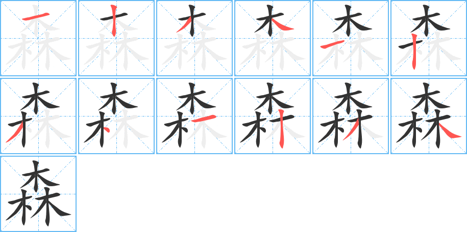 森字的筆順分步演示