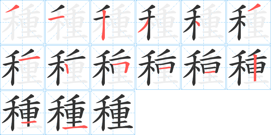 種字的筆順分步演示