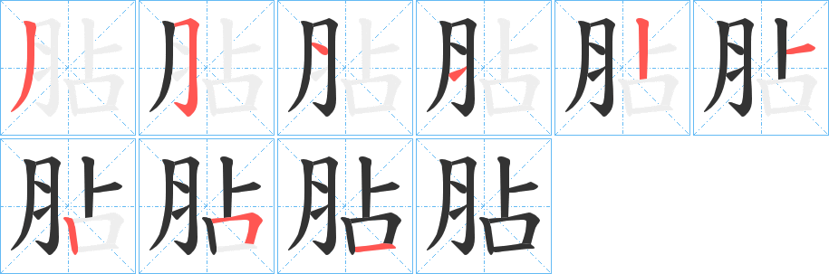 胋字的筆順分步演示