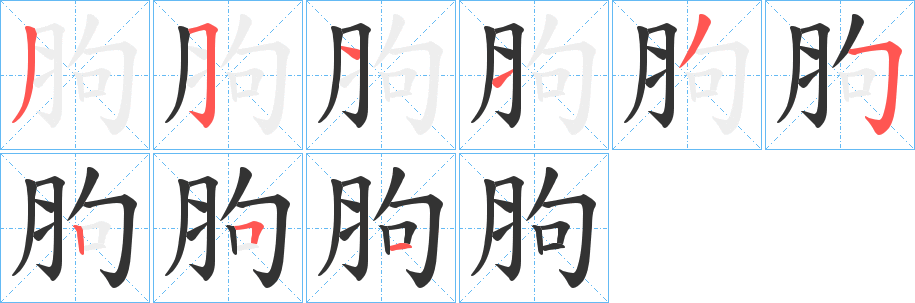 胊字的筆順?lè)植窖菔?></p>
<script src=