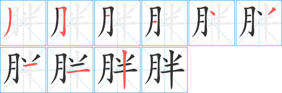胖字的筆順分步演示