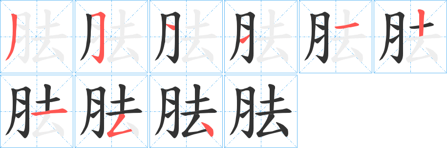 胠字的筆順分步演示