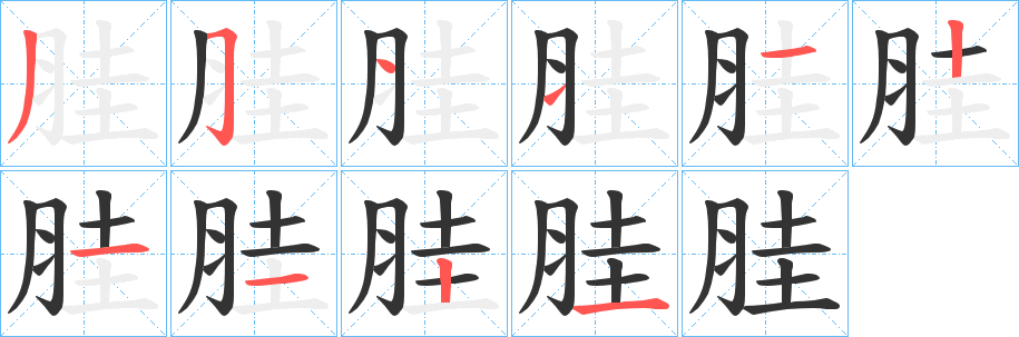 胿字的筆順?lè)植窖菔?></p>
<script src=