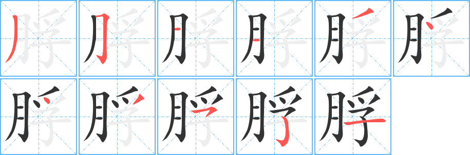 脬字的筆順分步演示