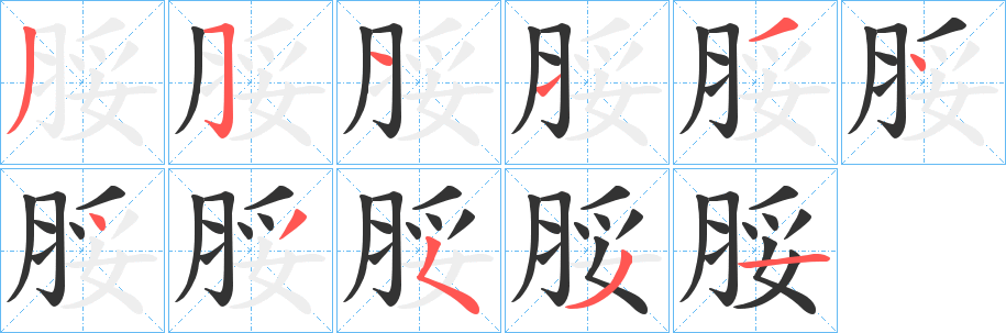 脮字的筆順?lè)植窖菔?></p>
<script src=