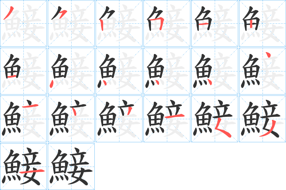 鯜字的筆順?lè)植窖菔?></p>
<script src=