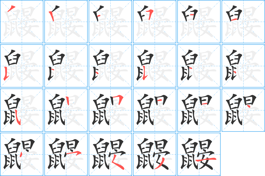 鼴字的筆順分步演示